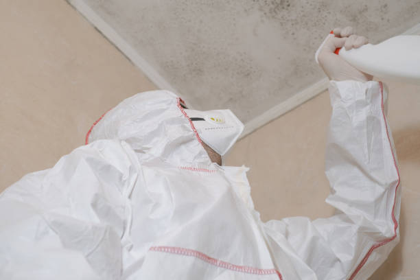 Best Insurance-Related Mold Remediation in Union Mill, VA
