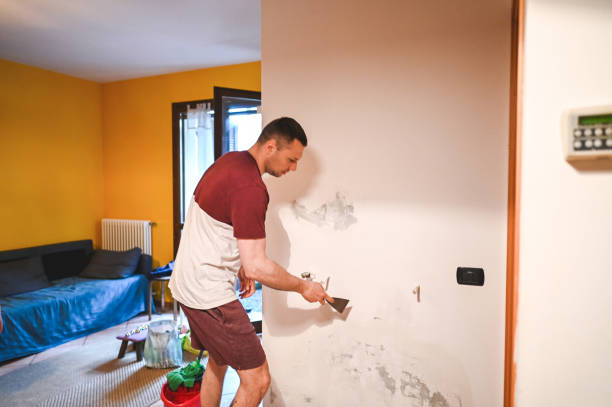 Best Health and Safety Mold Remediation in Union Mill, VA